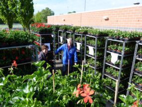 Plantenactie: de planten zijn binnen!